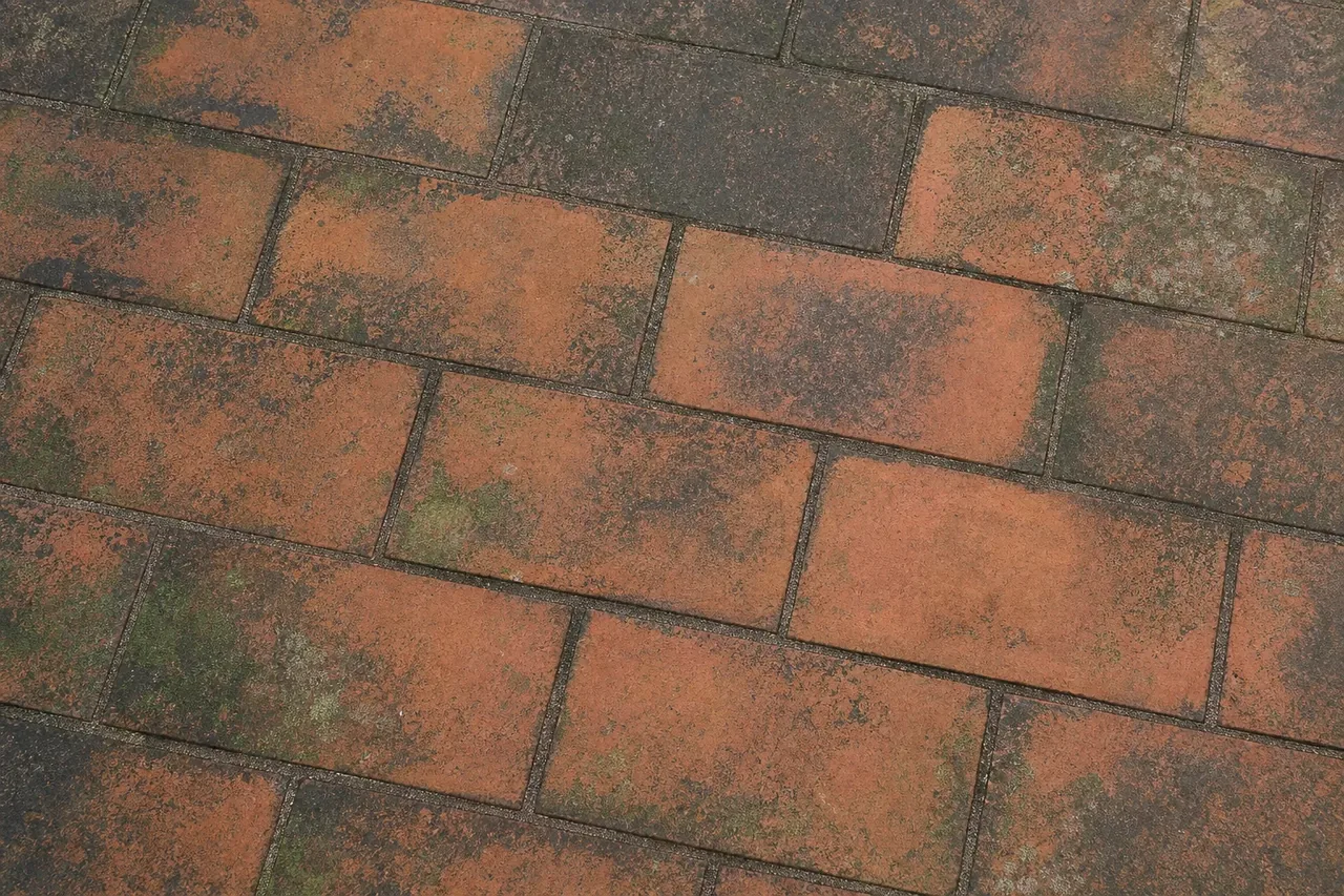 Terraço em tijoleira Antes